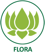 flora1