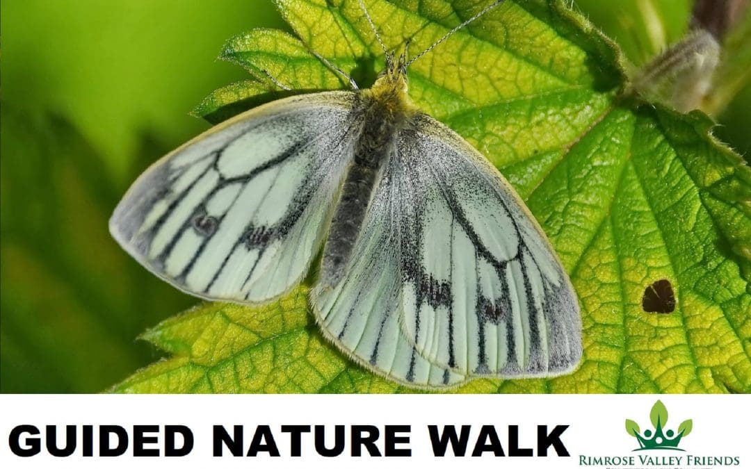 Guided Nature Walk: Sat 12th June at 9am