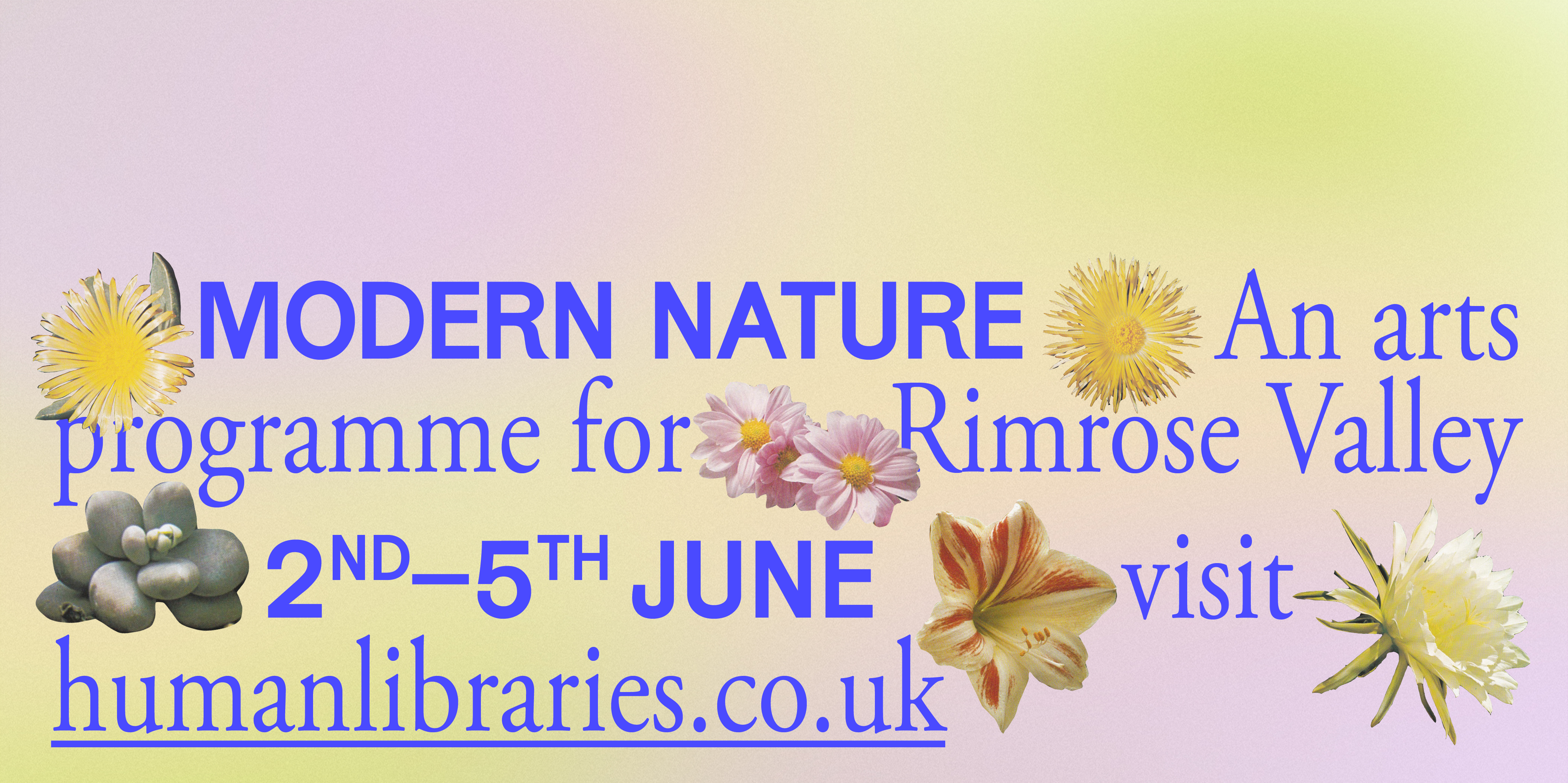 Modern Nature: An Arts Programme for Rimrose Valley